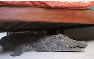 Sounds under the bed