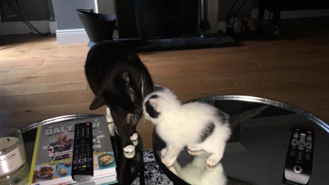 Dice and Mother in Kitchen